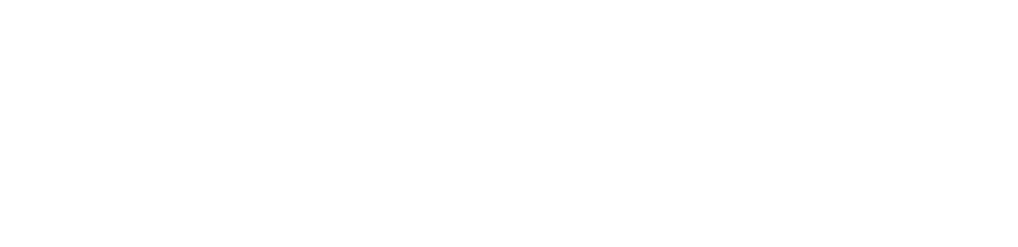 SIG ONE